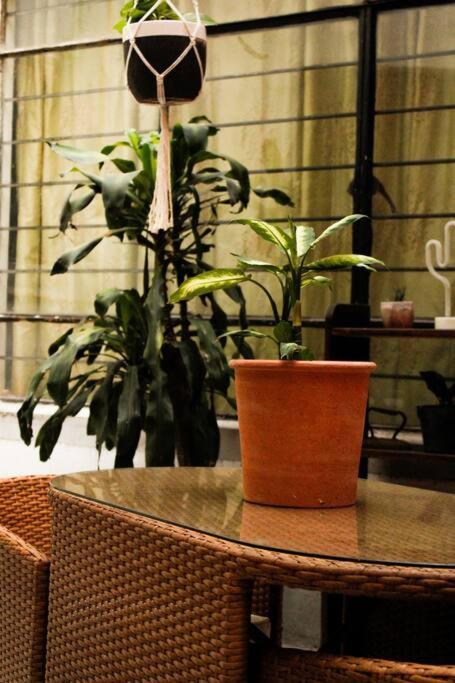 New Mex Inspired Bo-Ho Chic Apartment With Private Patio And Roof Terrace Mexico City Ngoại thất bức ảnh