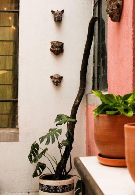 New Mex Inspired Bo-Ho Chic Apartment With Private Patio And Roof Terrace Mexico City Ngoại thất bức ảnh